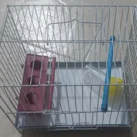 قفس سره فروشی