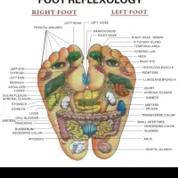 دمپایی ماساژور پا|کیف، کفش، کمربند|گنبد کاووس, |دیوار