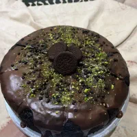 فروش کیک وکوکی|خوردنی و آشامیدنی|شیراز, شهرک امیر کبیر|دیوار