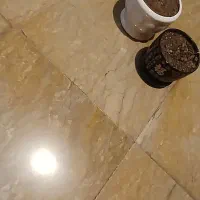 گلدون