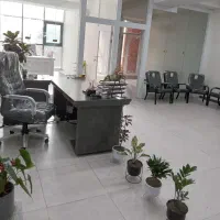 جذب راننده خانم با ماشین در شرکت فانوس