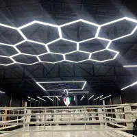 استخدام و کاریابی( خانم)