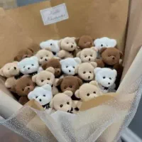 دسته گل خرسی|اسباب‌‌بازی|ارومیه, |دیوار