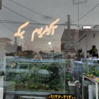 شیشه آکواریوم