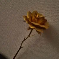 گل زر طلایی مصنوعی