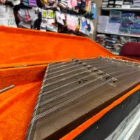 سنتور سالم و در حد|سازهای سنتی|نیشابور, دارایی|دیوار