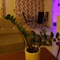همخونه