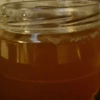 عسل کوهی درجه یک(انگبین)