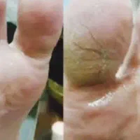 پروتیین رنگ لایت|خدمات آرایشگری و زیبایی|کرج, گلشهر|دیوار