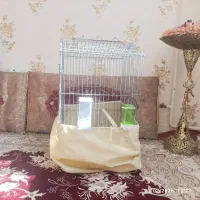 قفس|لوازم جانبی حیوانات|ملایر, |دیوار