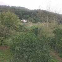 اجاره ویلا در شیرگاه روستای سرسبز اندارگلی|اجارهٔ کوتاه‌مدت ویلا و باغ|شیرگاه, |دیوار