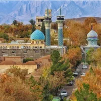 زمین تجاری راین