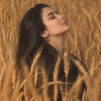 تابلو های قدیمی