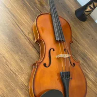 ویولاViola|ویولن|شیراز, باغ تخت|دیوار