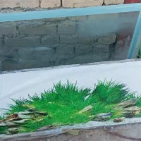 آکواریوم شیشه زخیم