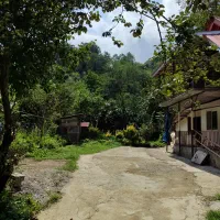 ویلا جنگلی|اجارهٔ کوتاهمدت ویلا و باغ|چابکسر, |دیوار