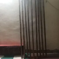 خزران|گل و گیاه طبیعی|شادگان, |دیوار