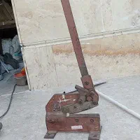 فروشی با کفترم معامله میشه نوق هست|پرنده|فردوس (کرمان), |دیوار