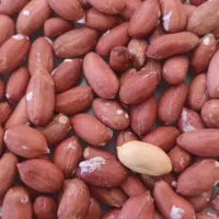 بادام درجه یک آستانه اشرفیه|خوردنی و آشامیدنی|قشم, |دیوار