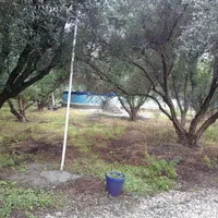 اجاره  مزرعه گردشگری پروش ماهی باغ زیتون|اجارهٔ دفتر صنعتی، کشاورزی، تجاری|نوکنده, |دیوار