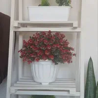 شلف به همراه گلدان و گل