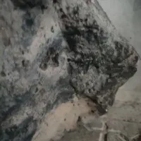 سنگ مشکوک به شهاب سنگ