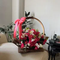 گلدان سبدی خارجی