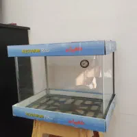 یک عدد آکواریوم شیشه خم|ماهی|لنگرود, |دیوار