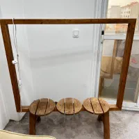 استند گل|گل و گیاه طبیعی|بندر انزلی, آذربایجان|دیوار