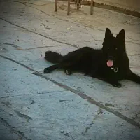 به علت نداشتن جا قیمت۱۰تومن