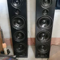 اسپیکر دوقلوی شروود