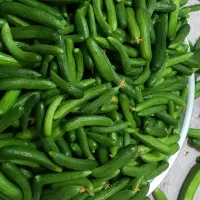 خیار برای خیارشور