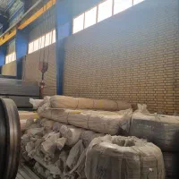 پلاستیک گلخانه