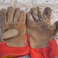 دستکش کار و زرشک چینی|لباس|بیرجند, |دیوار