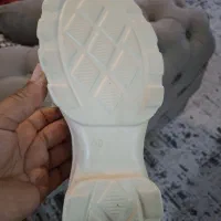 کفش|کیف، کفش، کمربند|هندیجان, |دیوار