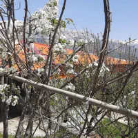 اجاره روزانه/هفتگی/ماهانه ویلا ۱۲۰۰ متری