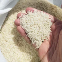 برنج ناب طارم درجه 1