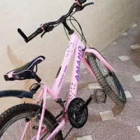 دوچرخه سالم