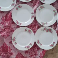 گل سرخ وغیره|ظروف سرو و پذیرایی|خرمدره, |دیوار