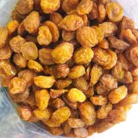 آلو جوشوندنی|خوردنی و آشامیدنی|شیراز, زیباشهر|دیوار