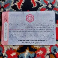 مدارکگمشده