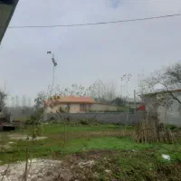 فروش زمین|فروش زمین و ملک کلنگی|رودبنه, |دیوار