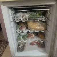 یخچال فریزر|یخچال و فریزر|مشهد, اروند|دیوار