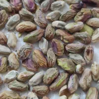 خرید و فروش مغز پسته|عمده‌فروشی|قم, آزادگان|دیوار