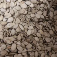 تخمه هندوانه و آفتابگردان وخاکشیر|عمده‌فروشی|سرچهان, |دیوار