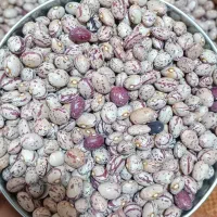 فروش|خوردنی و آشامیدنی|اندیمشک, |دیوار