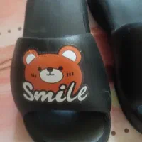 حراج|لوازم جانبی حیوانات|تهران, حکیمیه|دیوار