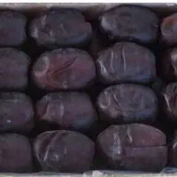 خرما