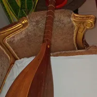 تنبور حرفه ای