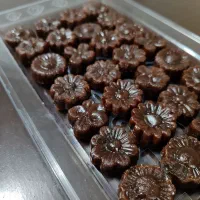 خرما مجلسی